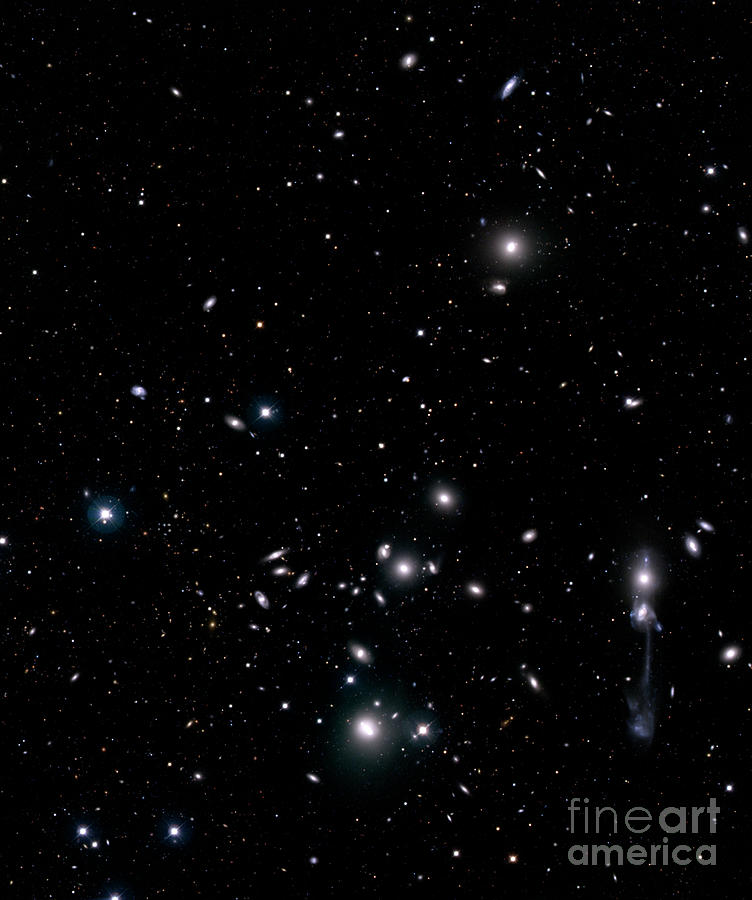 Galaxy Cluster Abell 1185 Photograph by Canada-france-hawaii Telescope/jeancharles Cuillandre/science Photo Library