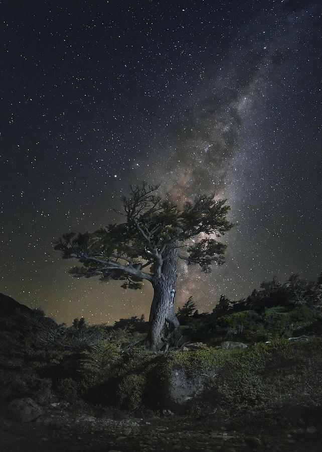 Galaxy Merge Photograph by Evgeny Chertov - Fine Art America