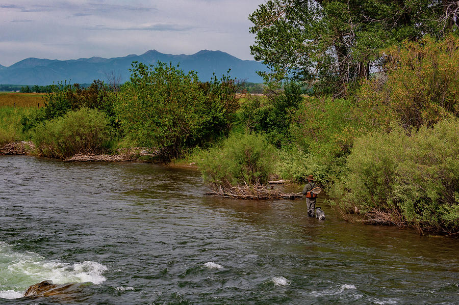 Gallatin River Trout Fishing Photograph by Douglas Wielfaert