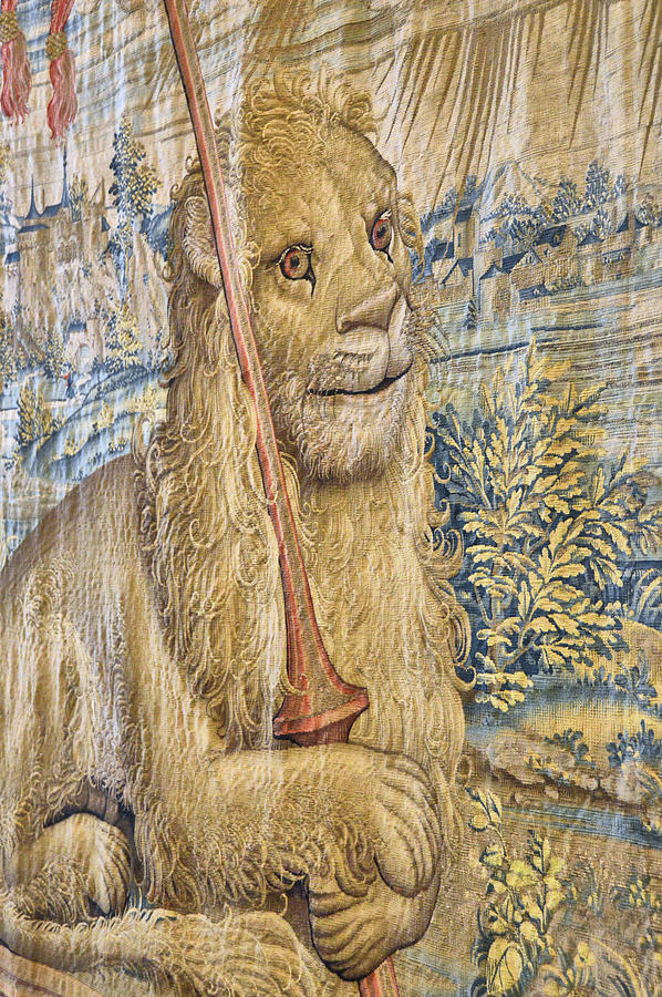 Gallery Of Tapestries Lion Photograph by JAMART Photography