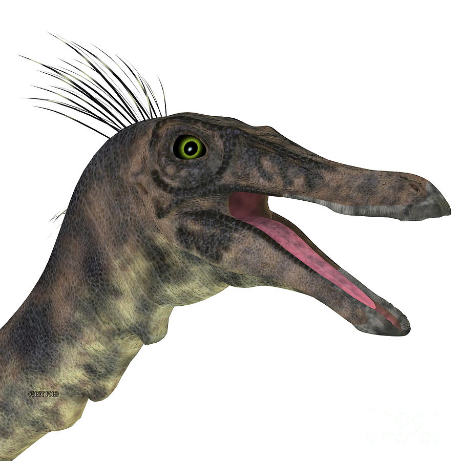 Gallimimus Dinosaur Head Digital Art by Corey Ford
