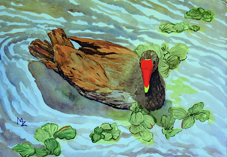Gallinule on a Florida Lake Painting by Margaret Zabor