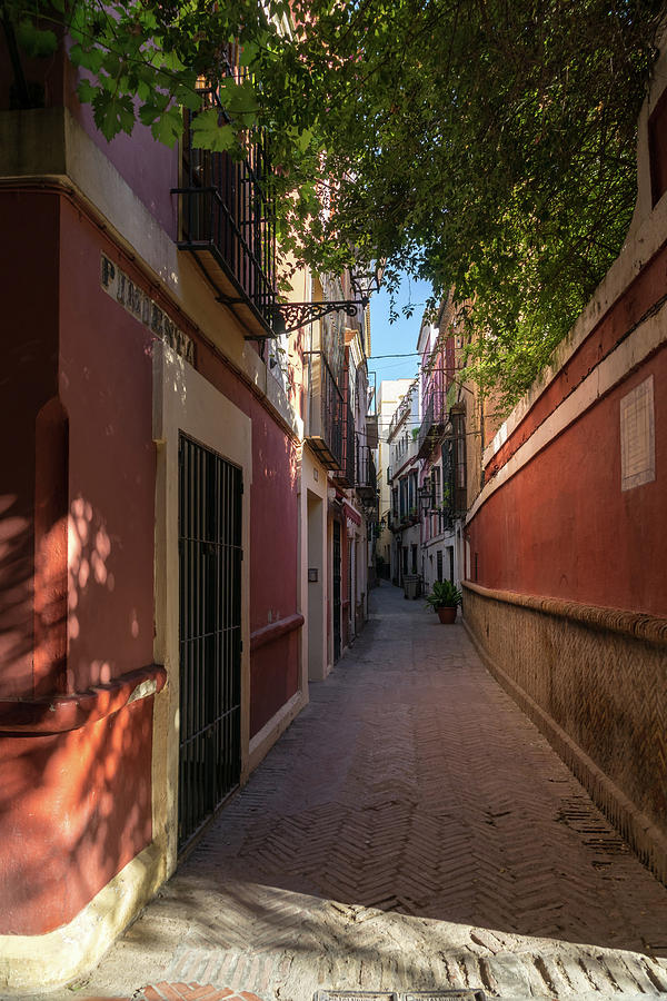 Gallivanting Around Seville is Pure Charm - Calle Pimienta Red Facades Photograph by Georgia Mizuleva
