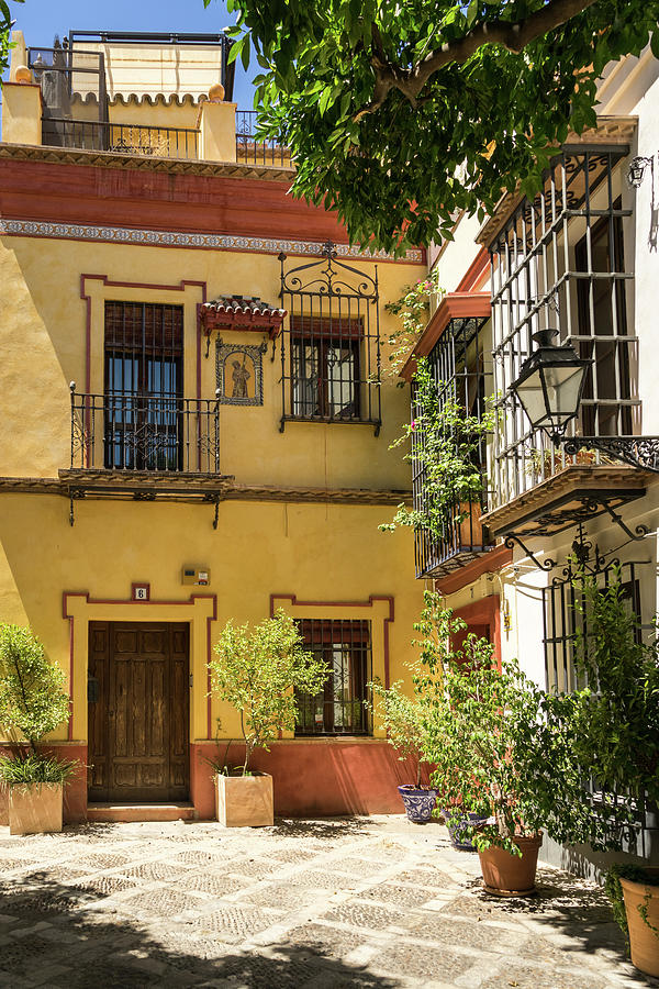 Gallivanting Around Seville is Pure Charm - Andalusian Houses in White and Cyber Yellow Photograph by Georgia Mizuleva