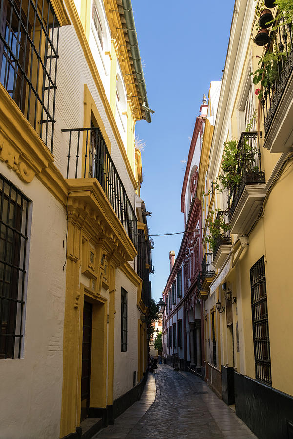 Gallivanting Around Seville is Pure Charm - Houses in Andalusian Yellow Photograph by Georgia Mizuleva