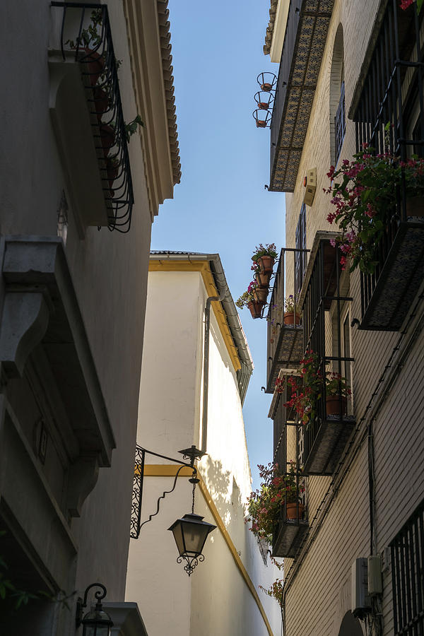 Gallivanting Around Seville is Pure Charm - Tiny Iron Balconies with Flowers Photograph by Georgia Mizuleva