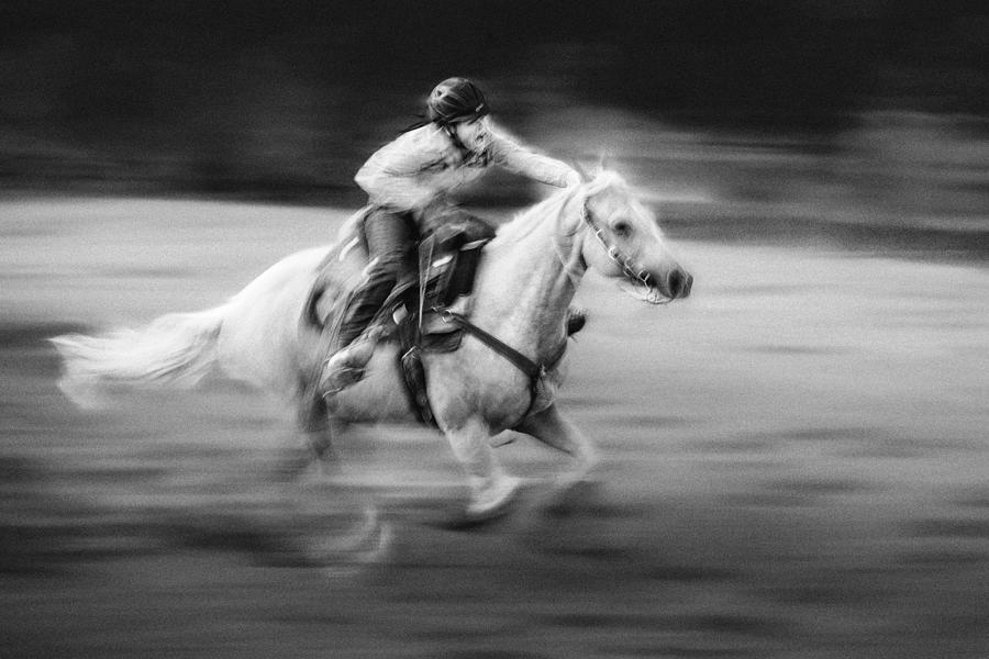 Gallop Photograph by Steven Zhou