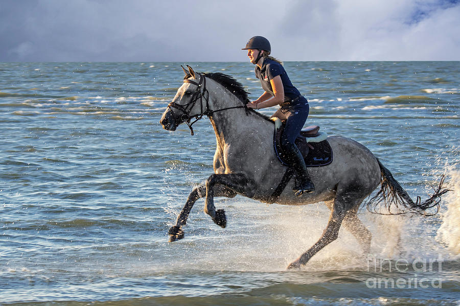Galloping Horse in Sea Photograph by Arterra Picture Library