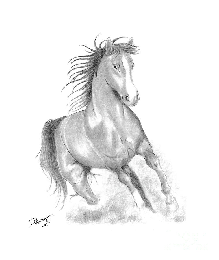 Galloping Horse Print Sketch Horse Wall Art Equestrian Art - Etsy