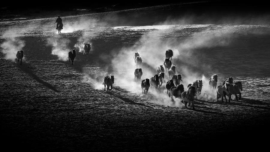 Daredevil Photograph - Galloping Horses by Irene Yu Wu