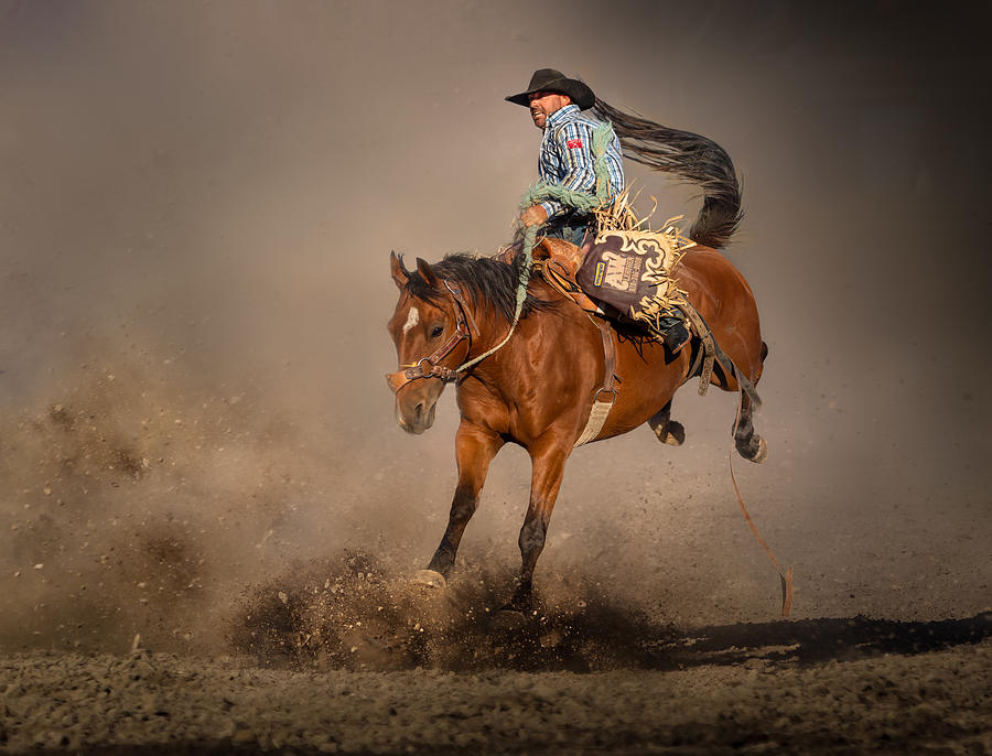 Galloping Photograph by Irene Yu Wu