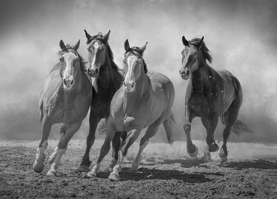 Galloping Photograph by Li Jian