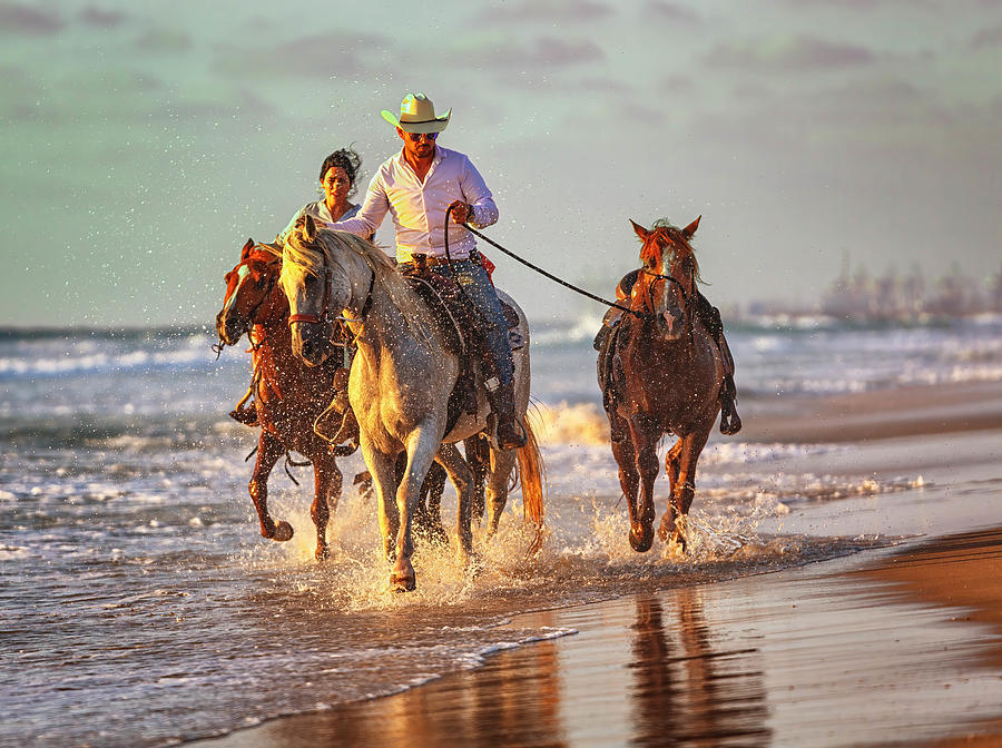 Galloping On The Beach Photograph by Tali Stein
