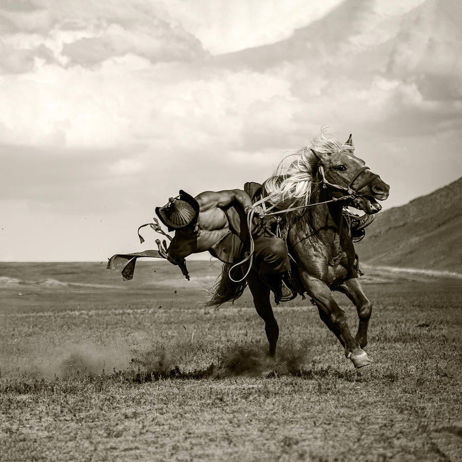Galloping Photograph by Rachel Pansky