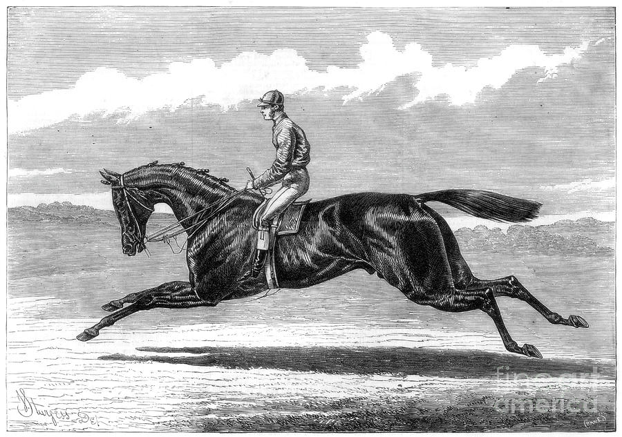 Galopin, Derby Winner, 1875. Artist Drawing by Print Collector