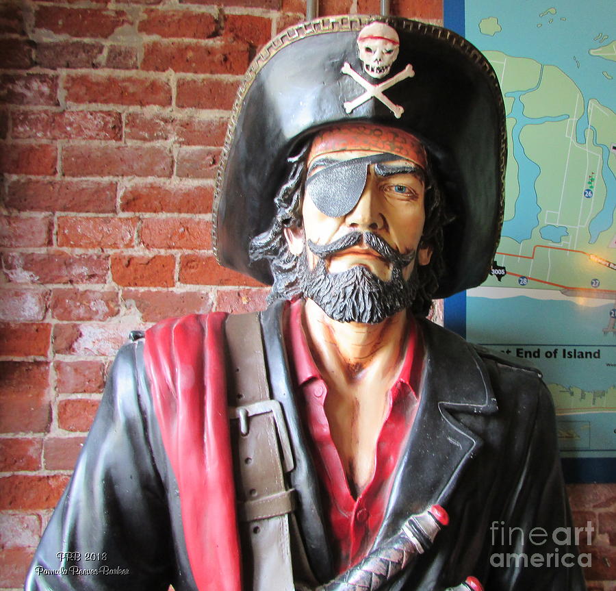 Galveston Pirate Photograph by Pamula Reeves Barker Fine Art America Galveston Pirate Photograph by Pamula Reeves Barker Fine Art America