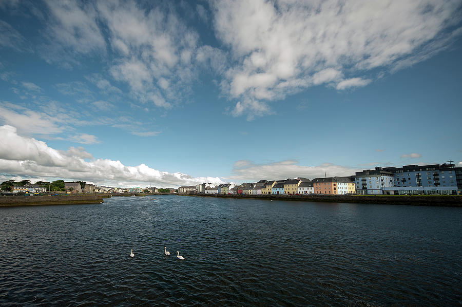 Galway Seaside With Swans Photograph by Filip Va
