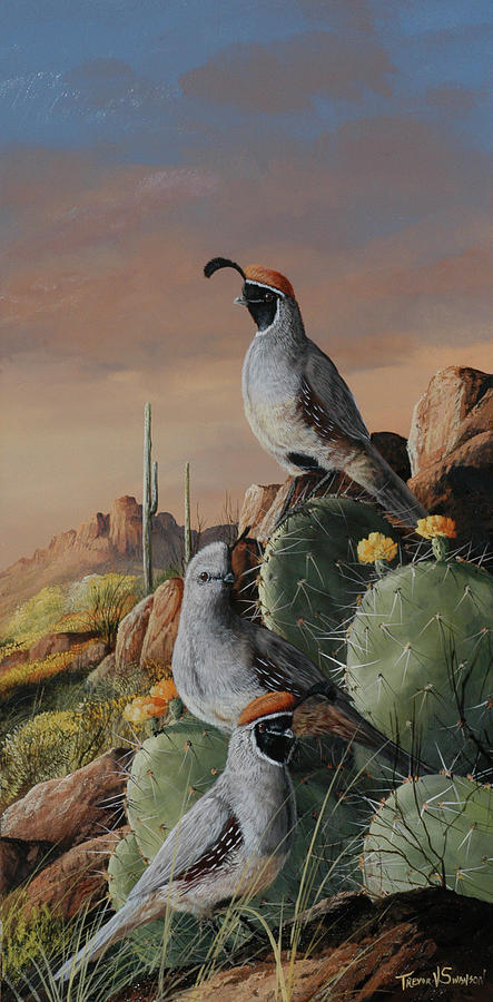 Wildlife Painting - Gambel Trio by Trevor V. Swanson