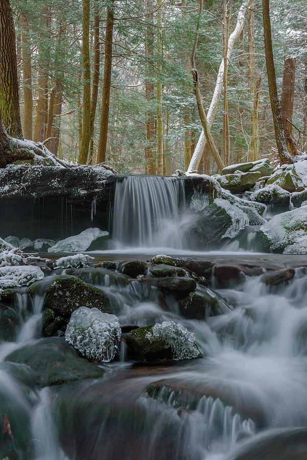 Game Lands Photograph by Clare Kaczmarek Pixels