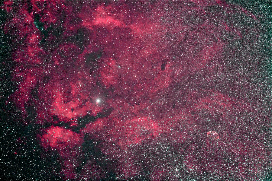Gamma Cygni Nebulosity Ic 1318 Complex Photograph by Alan Dyer/stocktrek Images