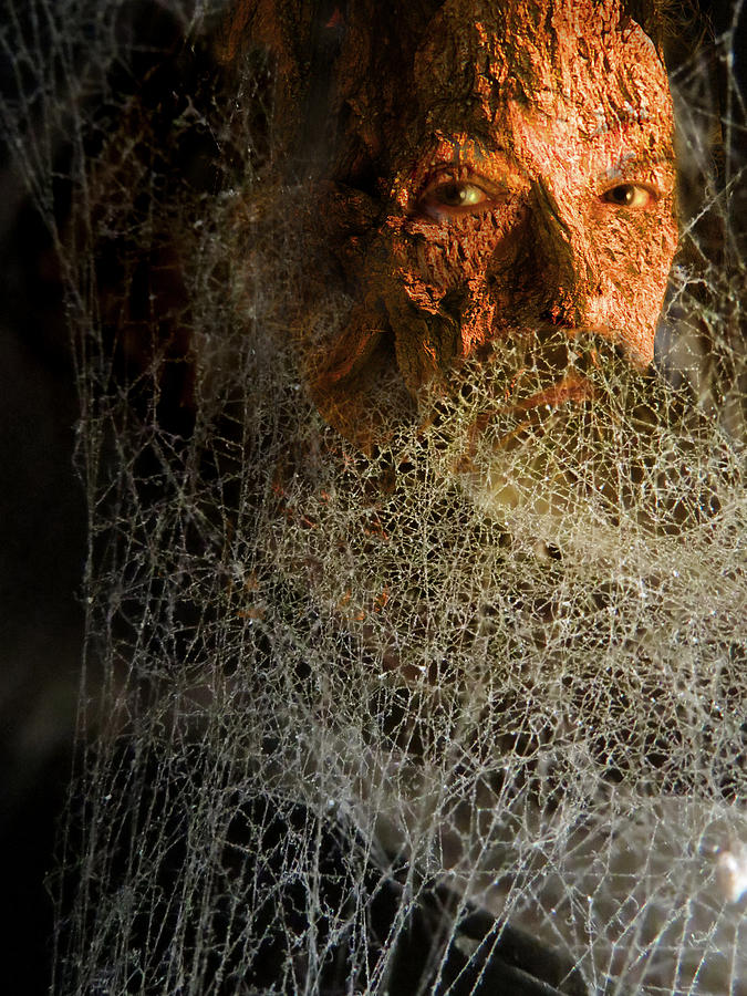 Gandalf - Cobwebby Self-portrait Digital Art by Attila Meszlenyi