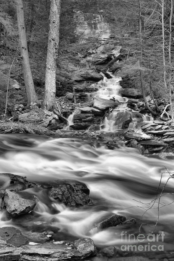Ganoga Glen Stream Crossing Black And White Photograph by Adam Jewell