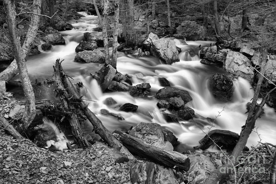 Ganoga Glen Streams Black And White Photograph by Adam Jewell