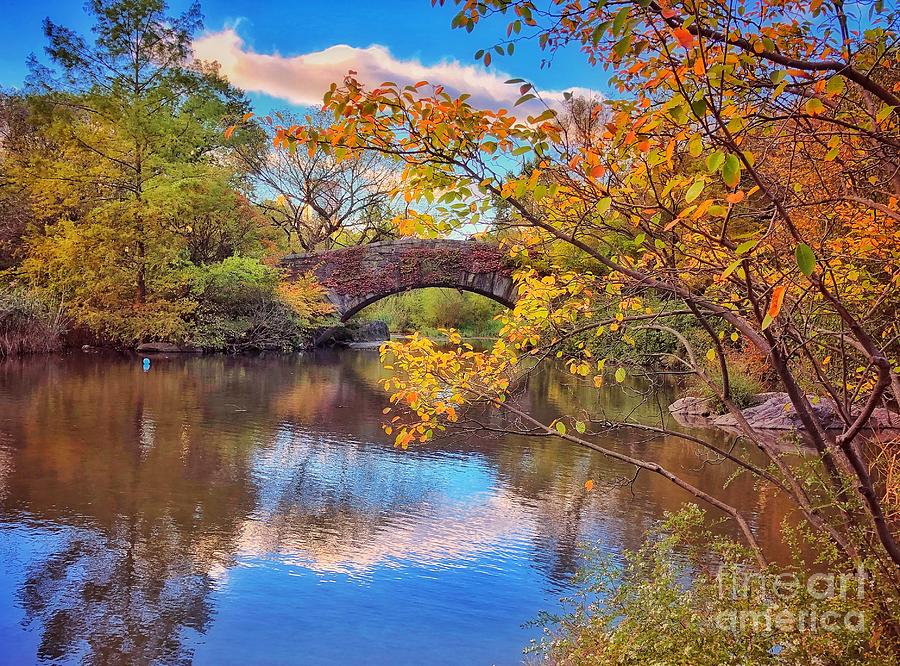 Gapstow Bridge in Autumn Photograph by Miriam Danar