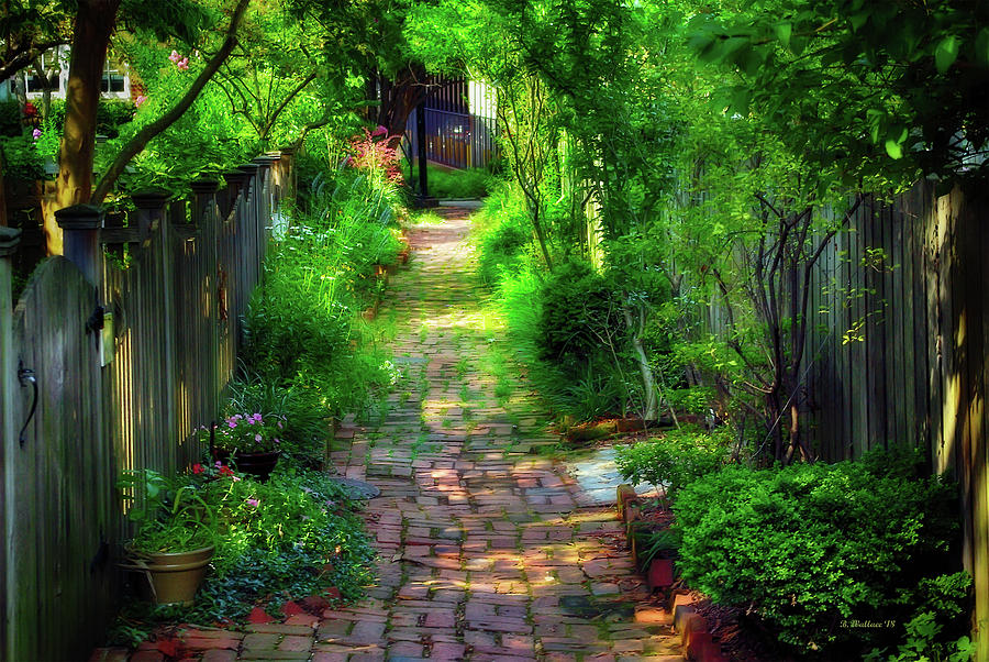Garden Alley Photograph by Brian Wallace