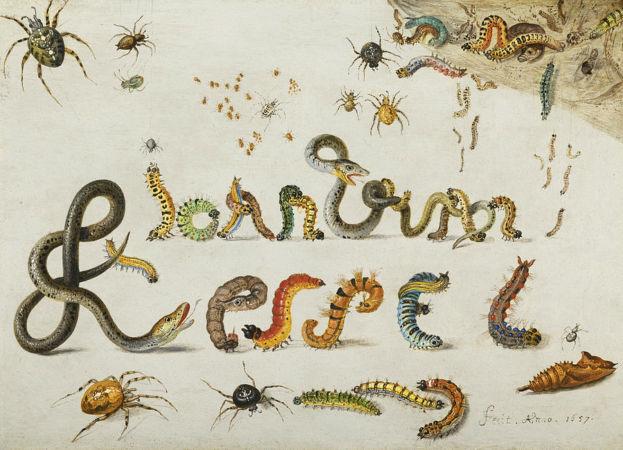 Garden and House Spiders with Grass Snakes and Caterpillars Contorted and Entwined  Painting by Jan van Kessel the Elder