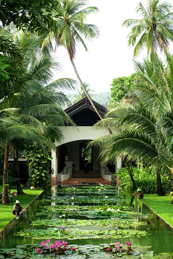 Garden And Pond At Anantara Resort Photograph by Lonely Planet