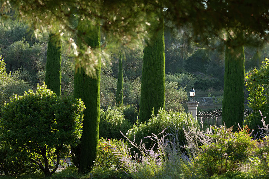 Garden At Chateau Saint-martin & Spa In Vence, France Photograph by Jalag / Joerg Lehmann