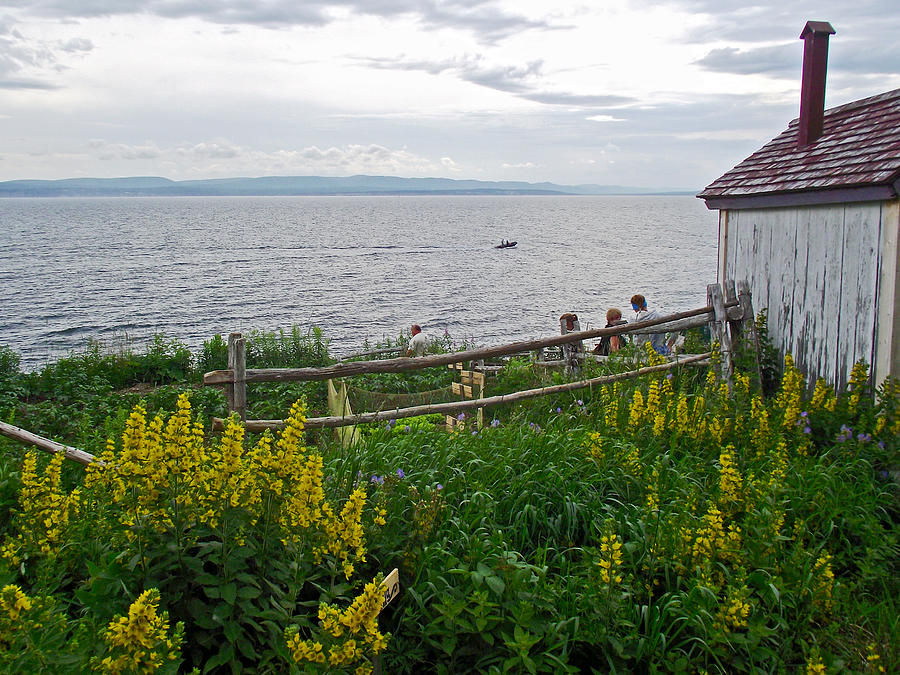 Garden at LAnse Blanchette over Gaspe Bay in Forillon National Park, Quebec, Canada  Photograph by Ruth Hager