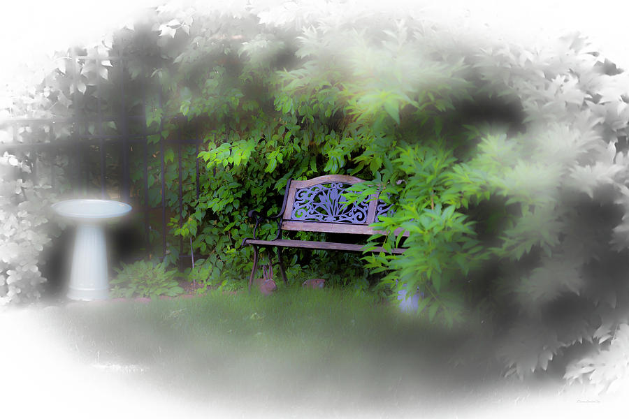 Garden Bench Photograph by Diane Lindon Coy