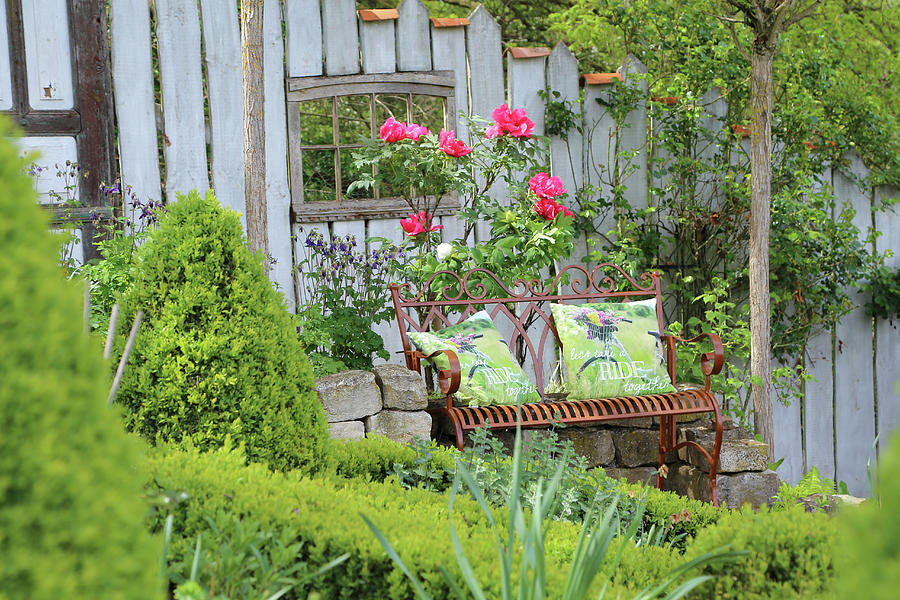 Garden Bench In Front Of Blooming Woody Peony On A Dry Stone Wall Photograph by Domingo Vazquez