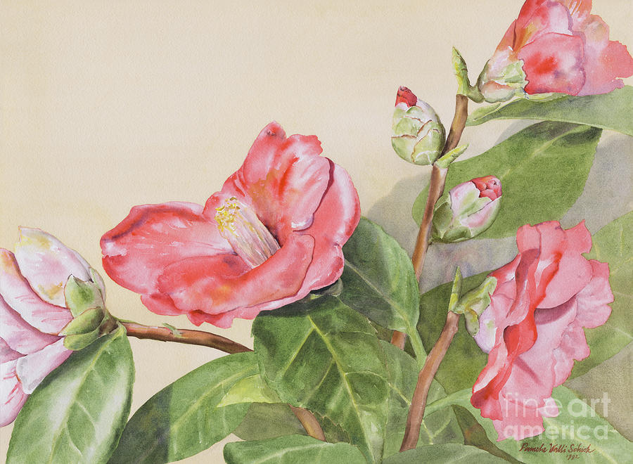 Flowers Painting - Garden Camellias by Pamela Schick Flowers Painting - Garden Camellias by Pamela Schick
