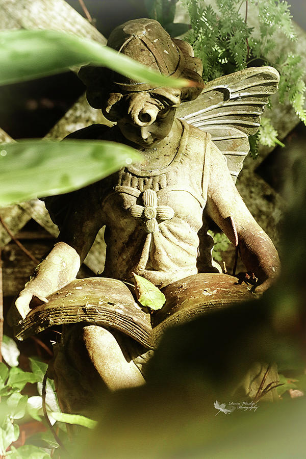 Garden Fairy at Study Photograph by Denise Winship