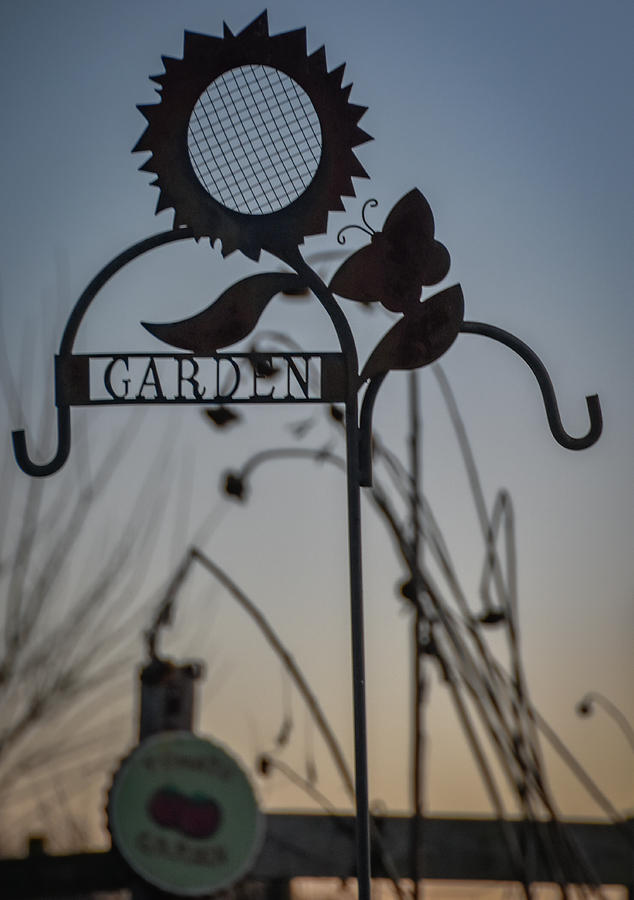 Garden Fever Photograph by Michelle Wittensoldner