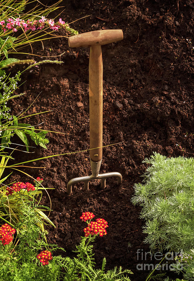Garden fork in soil Photograph by Sophie McAulay