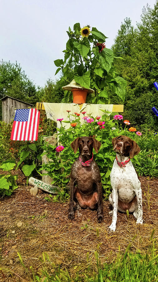 Garden Friends Photograph by Brook Burling