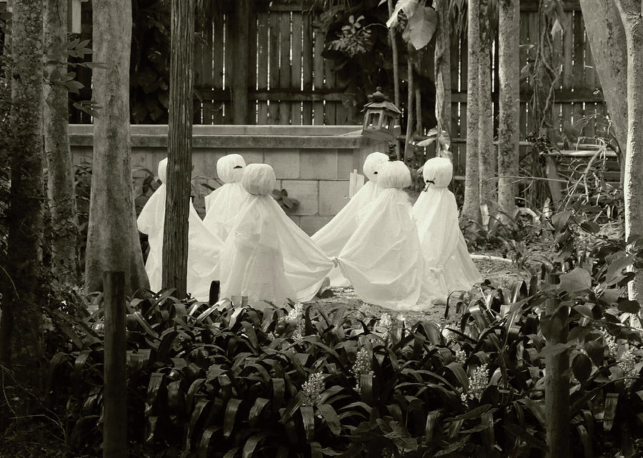 Garden Ghosts Photograph by Robert Wilder Jr