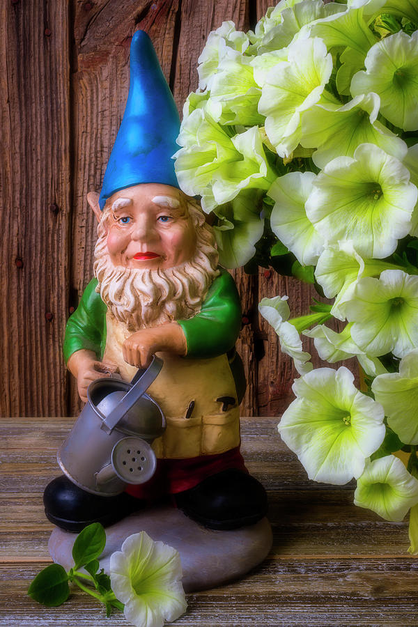 Garden Gnome With Petunias Photograph by Garry Gay