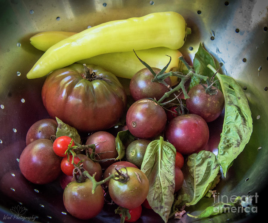 Vegetables Photograph - Garden Harvest by Diana Wind Vegetables Photograph - Garden Harvest by Diana Wind