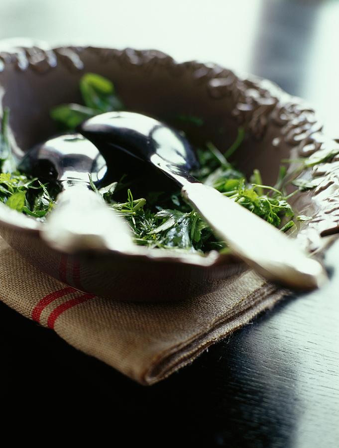 Garden Herb Salad Photograph by Amiel
