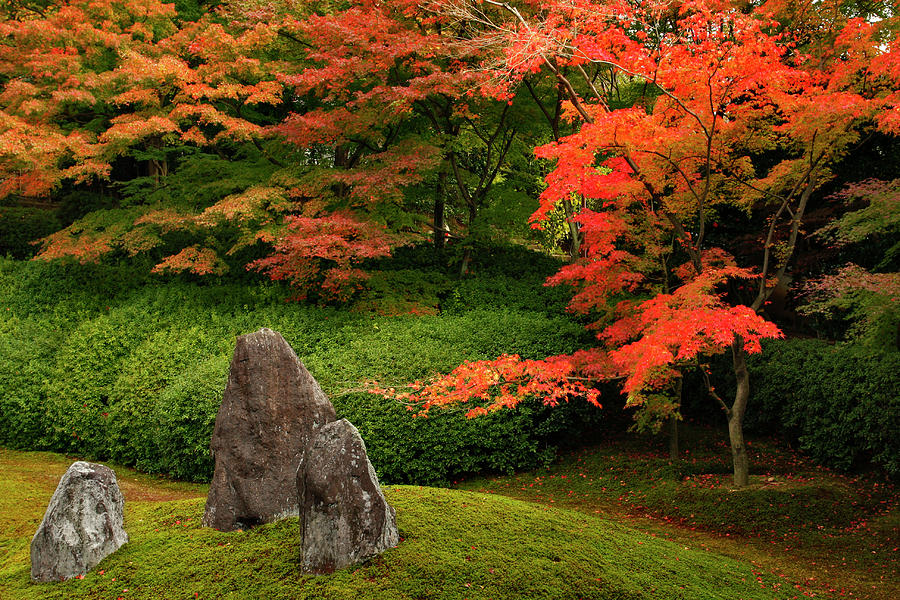 Garden In Autumn Photograph by Photography By Haiyin