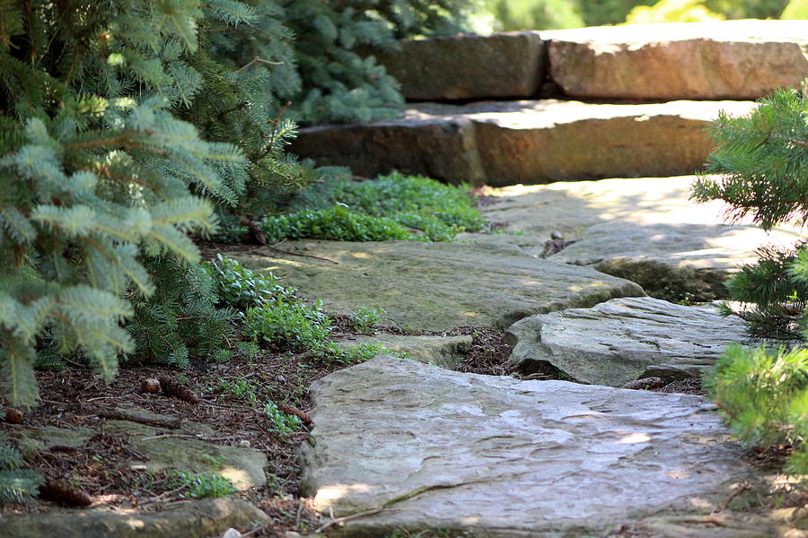 Garden Landscape - Stone Stairs Photograph by Colleen Cornelius