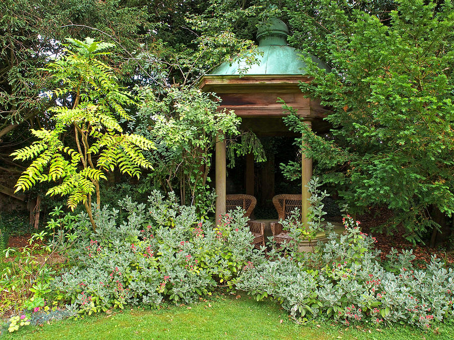 Garden Love Seats Photograph by Gill Billington