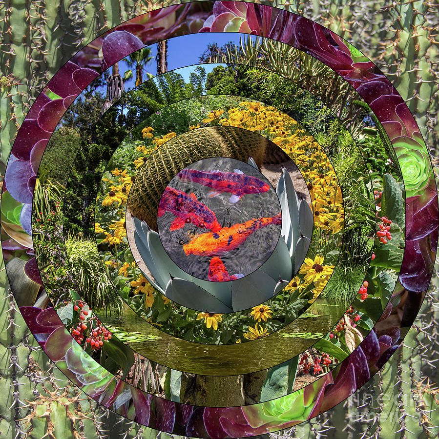 Garden Mandala Collage Version One Photograph by Roslyn Wilkins