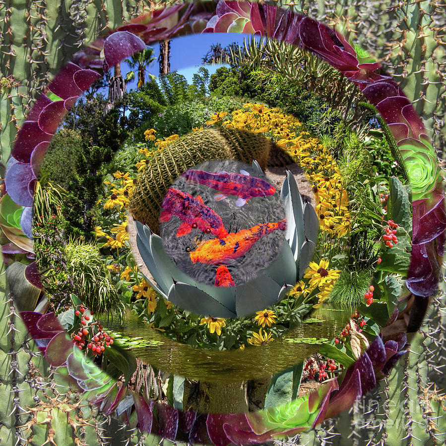 Garden Mandala Collage Version Two Photograph by Roslyn Wilkins