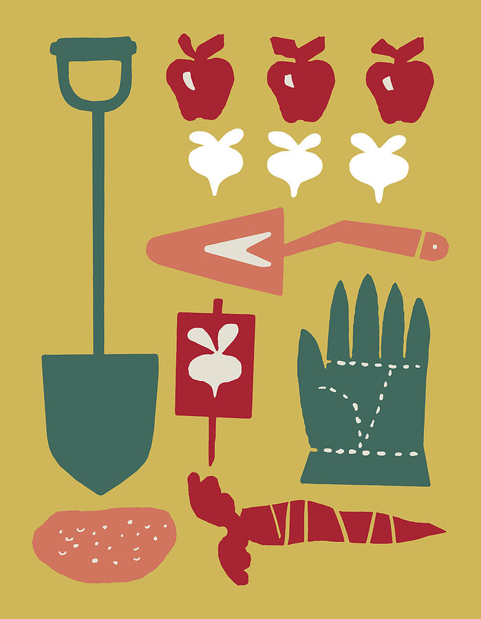 Carrot Drawing - Garden Objects by CSA Images